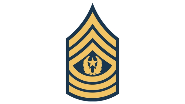 COD WW2 Command Sergeant Major Rank