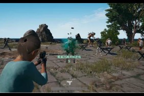 PUBG Green Blood