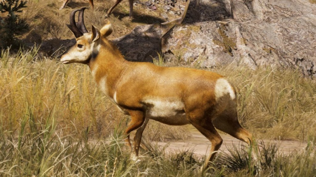 Pronghorn Far Cry 5