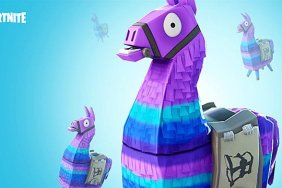 Fortnite Llama Backpack