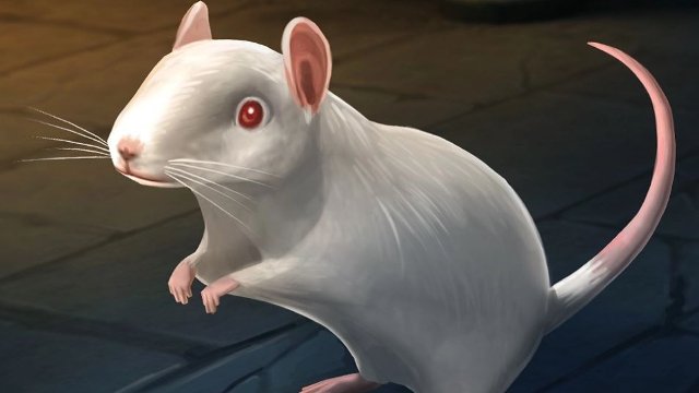 Hogwarts Mystery Pets