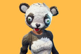 Panda Team Leader