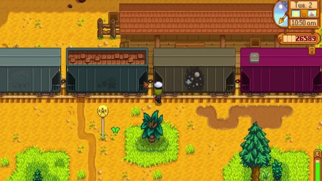 Stardew Valley Train