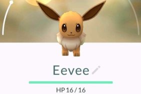 pokemon go eevee evolution