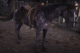 Red Dead Redemption 2 Horse Cores