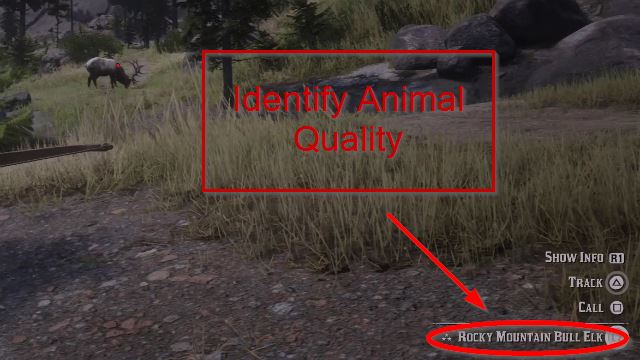 Red Dead Redemption 2 Identify Animal Quality