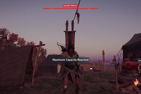 Assassin's Creed Odyssey Maximum Capacity Reached