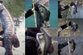 Red Dead Redemption 2 Legendary Fish Locations and Best Lures