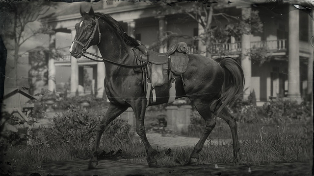 red dead redemption 2 arabian horse breed