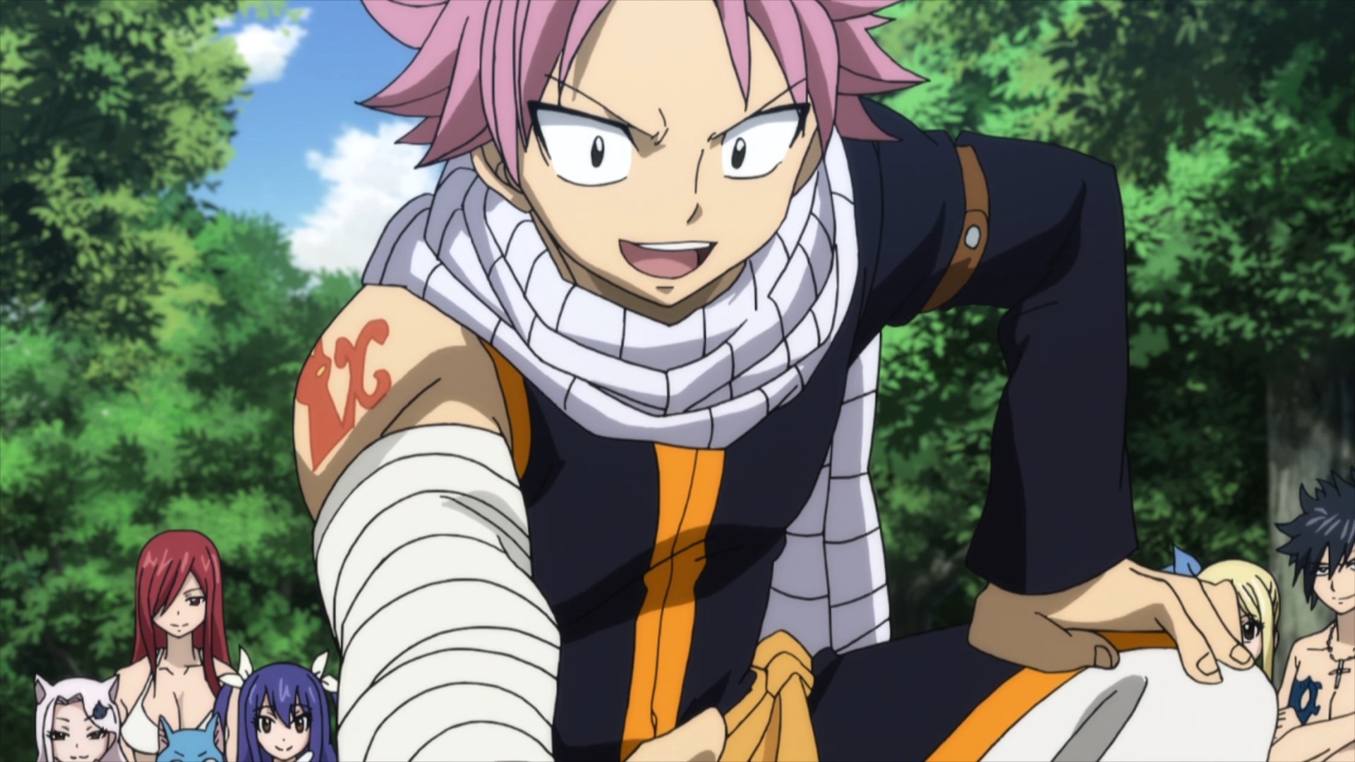 Fairy Tail Episode 308