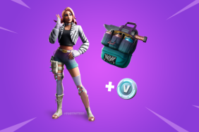 Fortnite wilde skin