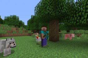 Minecraft player arrested