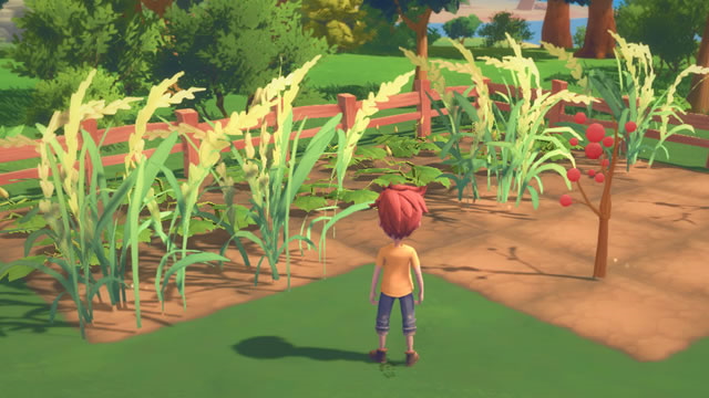 My Time at Portia update patch notes