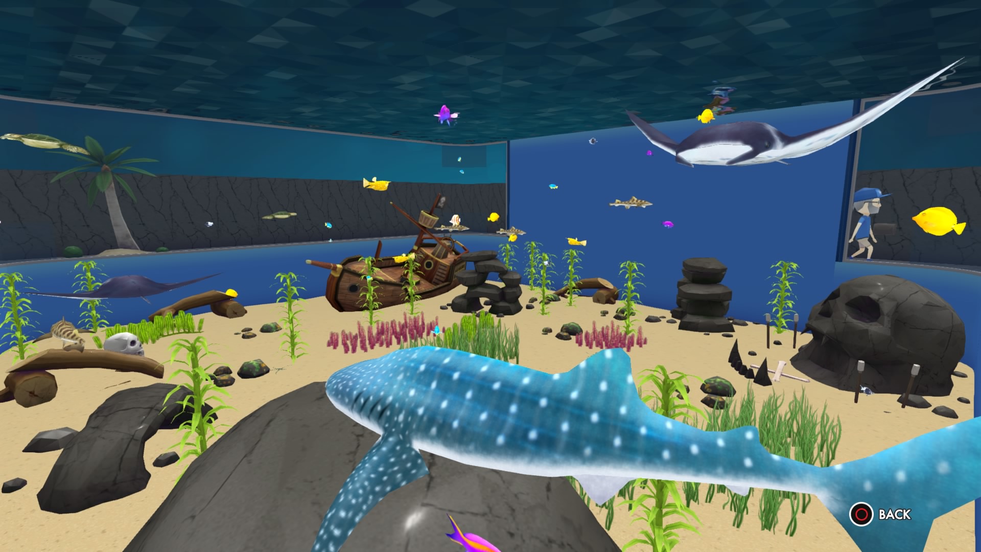 Megaquarium Review | 