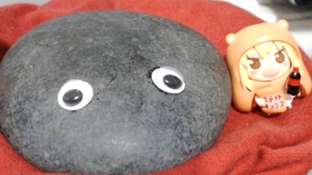 Pet Rock Twitch streamer