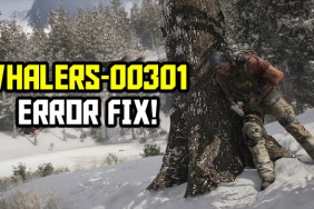 whalers 00301 error fix ghost recon breakpoint