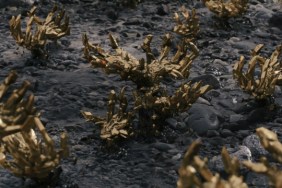 Death Stranding Farm Chiral Crystals