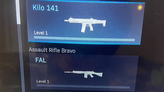 Modern Warfare level 1 weapon bug