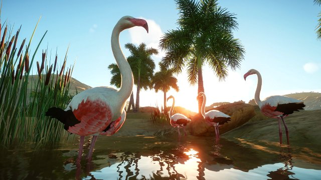 Planet Zoo 1.0.3 Update Patch Notes