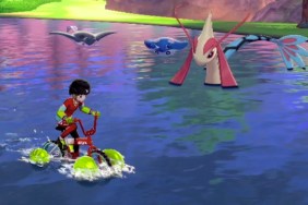 Pokemon Sword and Shield Surf