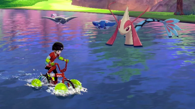 Pokemon Sword and Shield Surf