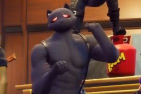 new Fortnite cat skin