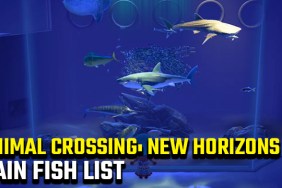 ANIMAL CROSSING NEW HORIZONS RAIN FISH