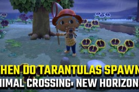 Animal Crossing: New Horizons Tarantula hours