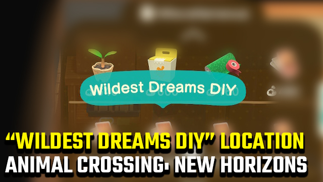 Animal Crossing New Horizons Wildest Dreams DIY Location