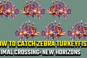 Animal Crossing: New Horizons Zebra Turkeyfish