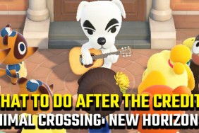 Animal Crossing: New Horizons endgame