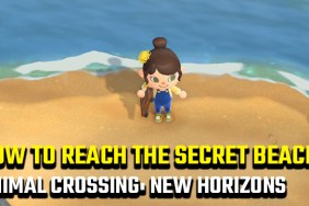 Animal Crossing: New Horizons secret beach