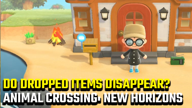 Animal Crossing: New Horizons Dropped Items