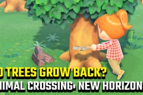 Do tree stumps grow back in Animal Crossing: New Horizons?