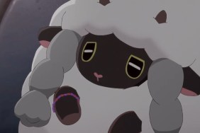 Pokemon Wooloo memes