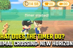 What does the timer do in Animal Crossing: New Horizons?