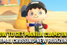 How to get manila clams in Animal Crossing: New Horizons