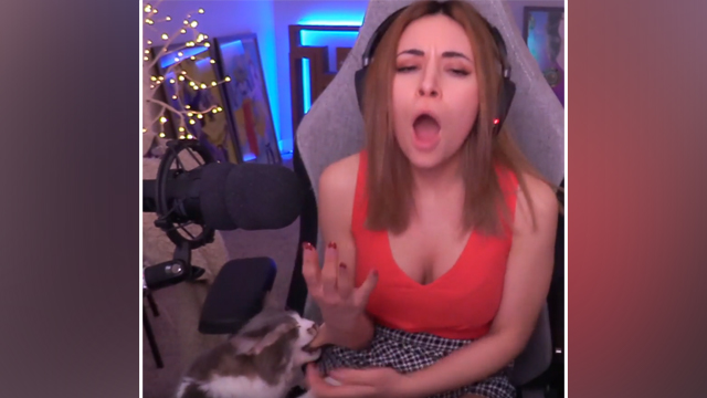 twitch alinity cat bite