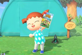 Animal Crossing New Horizons Simple Panels