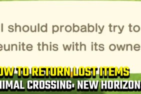 Animal Crossing: New Horizons lost item