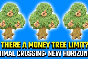 Animal Crossing New Horizons money tree limit