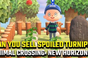 Can you sell spoiled turnips in Animal Crossing: New Horizons?