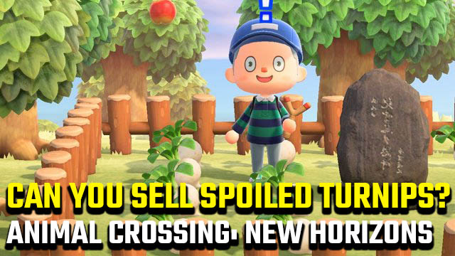 Can you sell spoiled turnips in Animal Crossing: New Horizons?