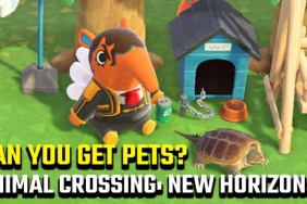 can you get pets in Animal Crossing: New Horizons?