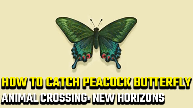 how to catch Peacock Butterfly in Animal Crossing: New Horizons