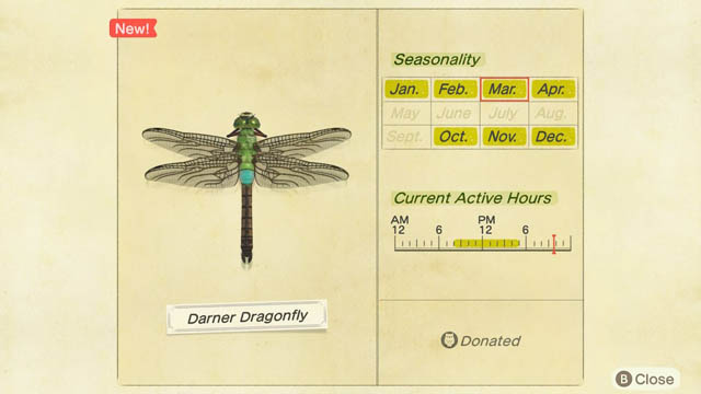 how to catch a Darner Dragonfly in Animal Crossing: New Horizons