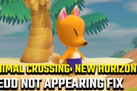 Animal Crossing: New Horizons Redd Not Showing Up Fix