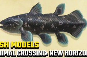 Animal Crossing New Horizons fish models