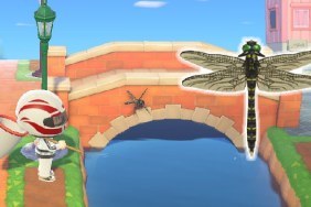 How do I catch the Banded Dragonfly in Animal Crossing: New Horizons?