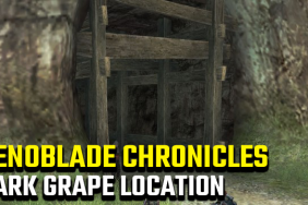 Xenoblade Chronicles Dark Grape Location